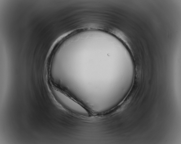 X0000083050987200703022107