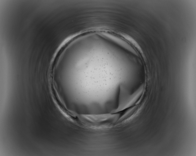 X0000083050989200703022107