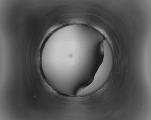 X0000083050992200703022107