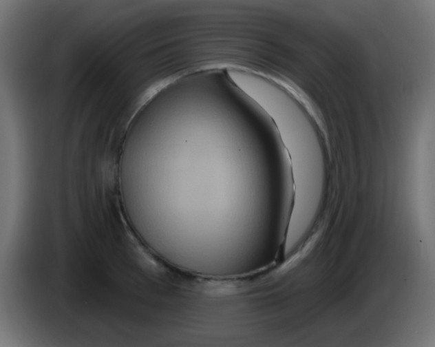 X0000083050993200703022107