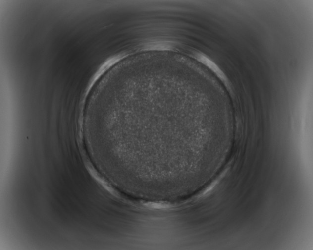 X0000083050994200703022107