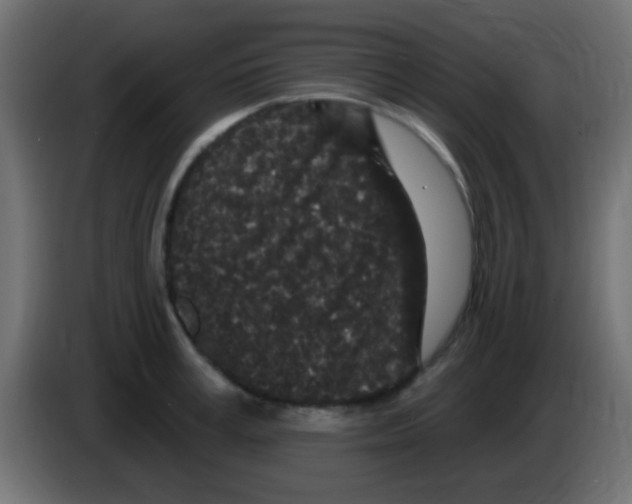 X0000083050995200703022106