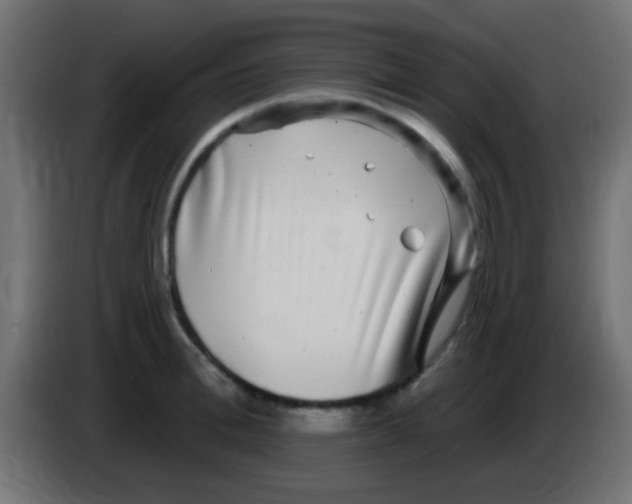 X0000083050996200703022106