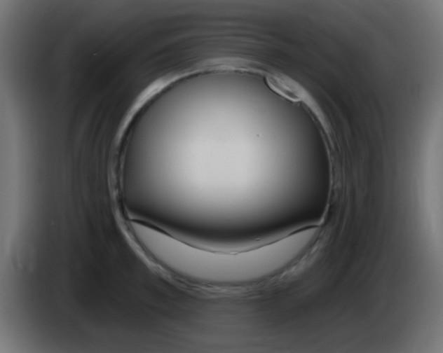 X0000083050997200703022106