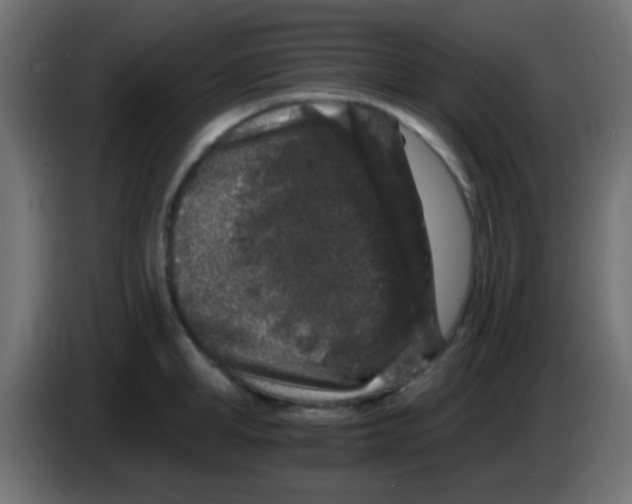 X0000083050998200703022106