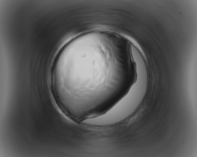 X0000083050999200703022106