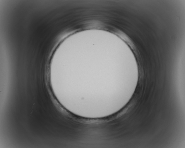 X0000083051000200703022106