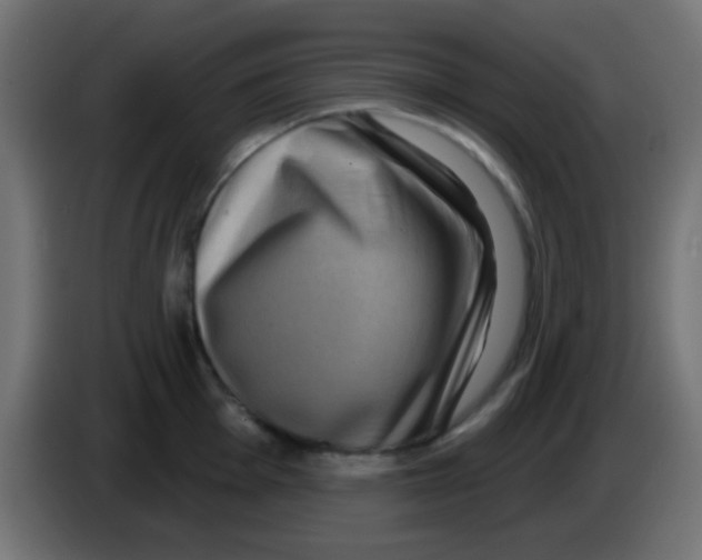 X0000083051001200703022106