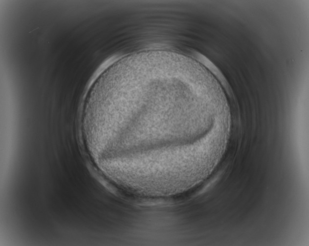 X0000083051002200703022106