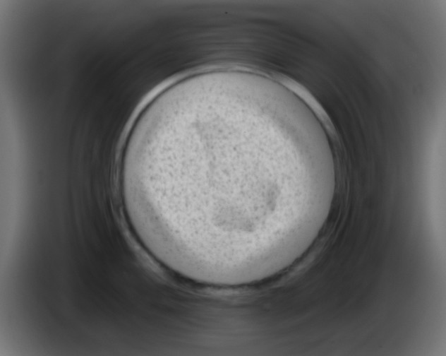 X0000083051004200703022106