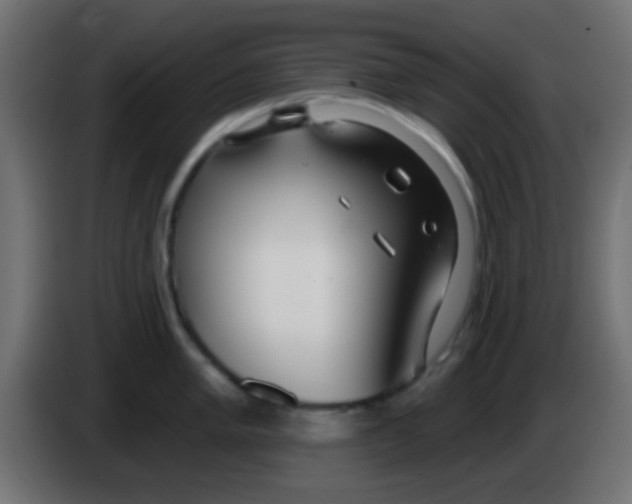 X0000083051005200703022106