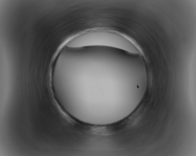 X0000083051006200703022106