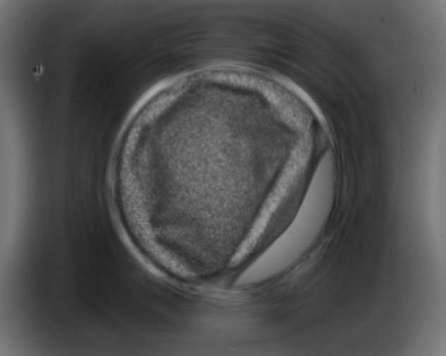 X0000083051007200703022106