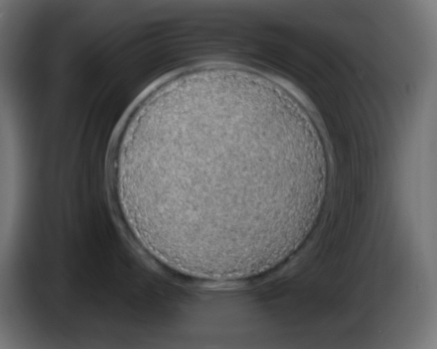 X0000083051008200703022106