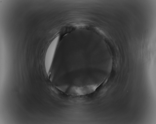 X0000083051010200703022106