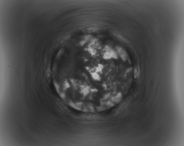 X0000083051011200703022106