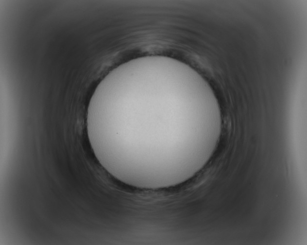 X0000083051012200703022106