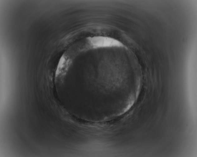 X0000083051013200703022106