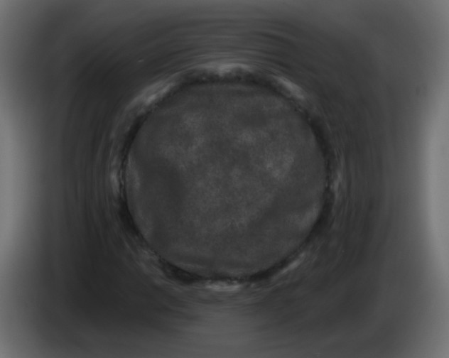 X0000083051014200703022106