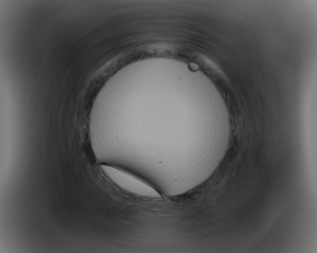 X0000083051015200703022106