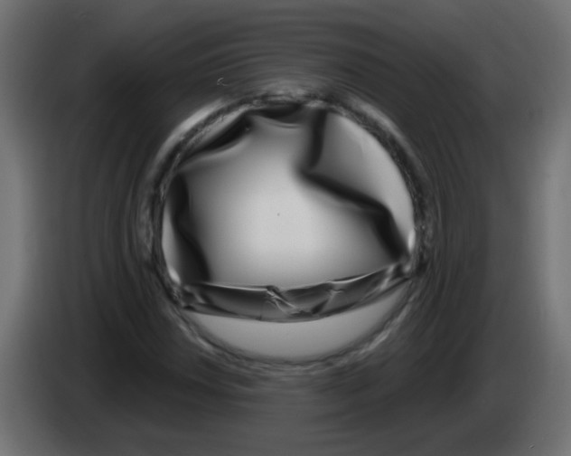 X0000083051018200703022106