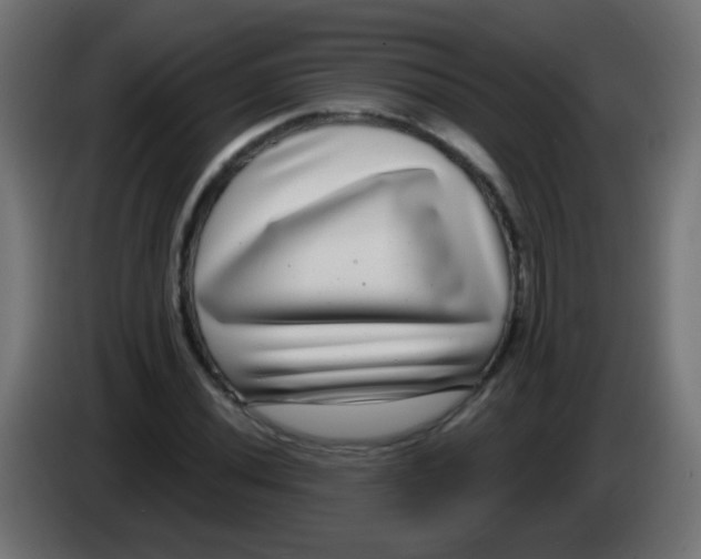 X0000083051020200703022106