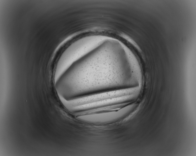 X0000083051021200703022106