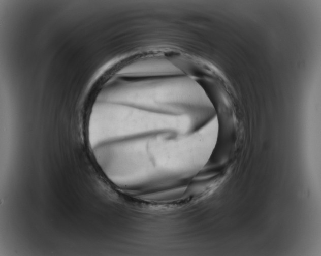 X0000083051022200703022106