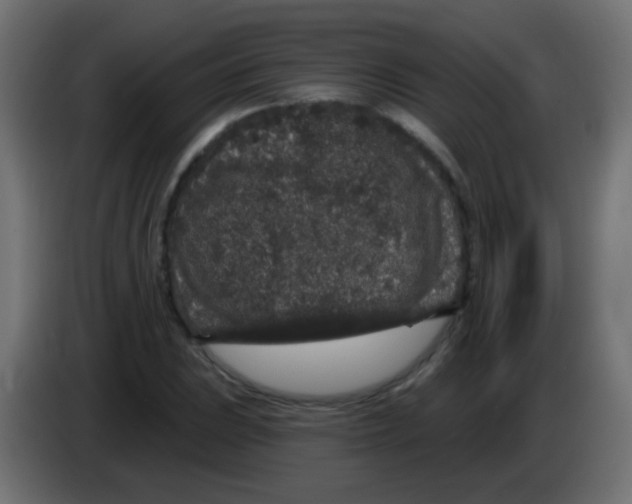 X0000083051023200703022106