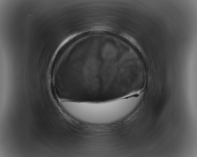 X0000083051024200703022106