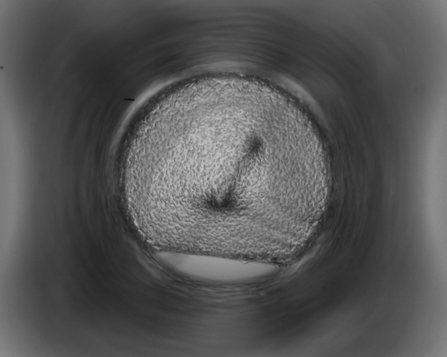 X0000083051027200703022106