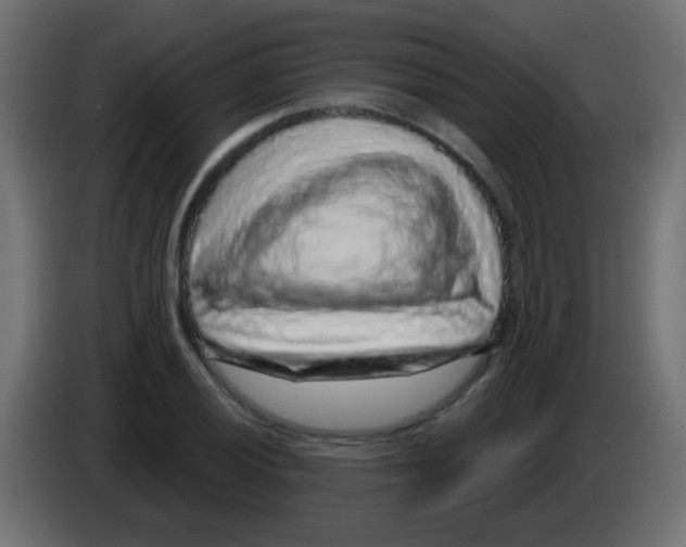 X0000083051028200703022106