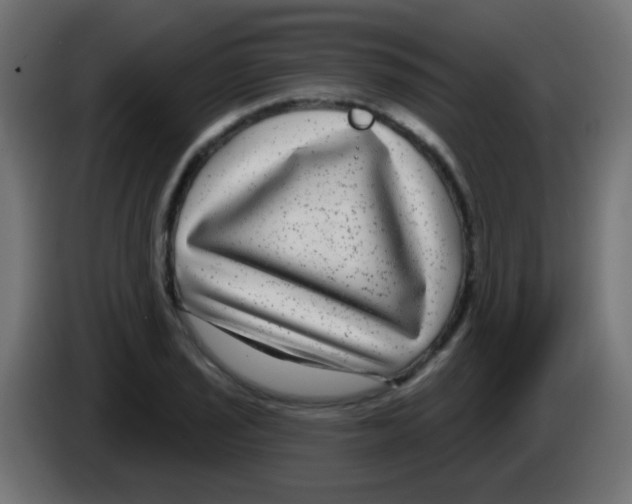 X0000083051029200703022106