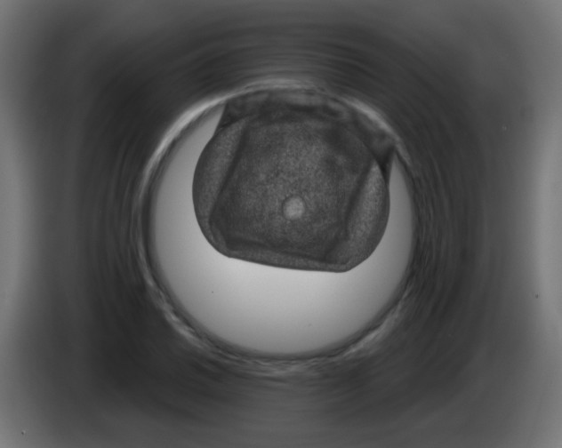 X0000083051030200703022106