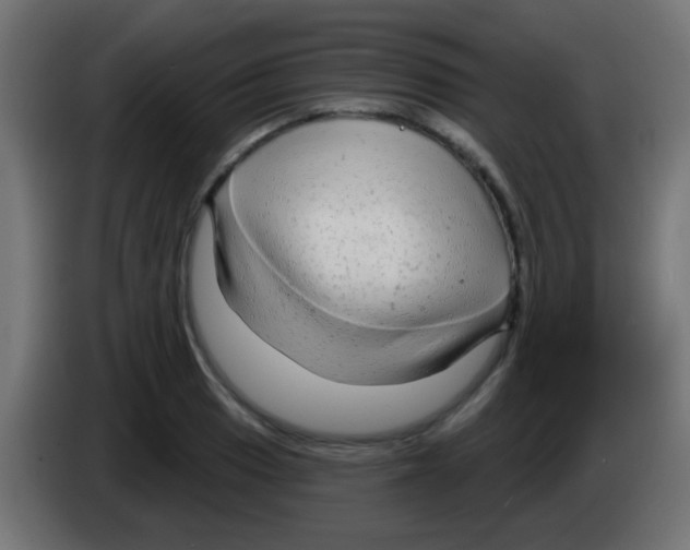 X0000083051033200703022106