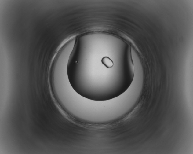 X0000083051034200703022106