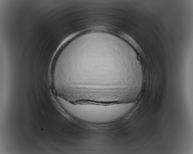 X0000083051036200703022106