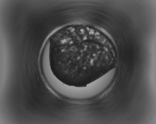 X0000083051037200703022106