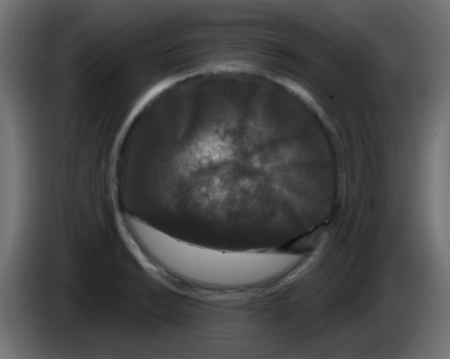 X0000083051038200703022106