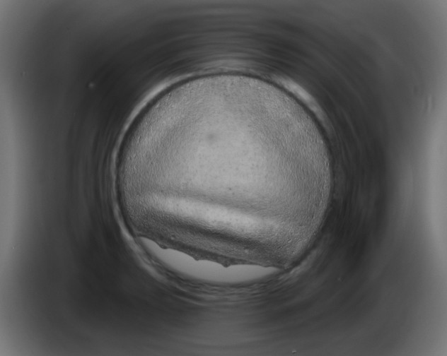 X0000083051039200703022106