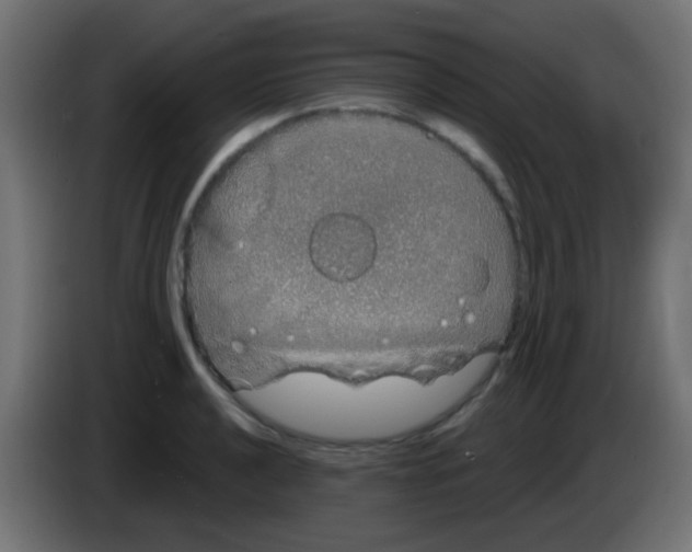 X0000083051040200703022106