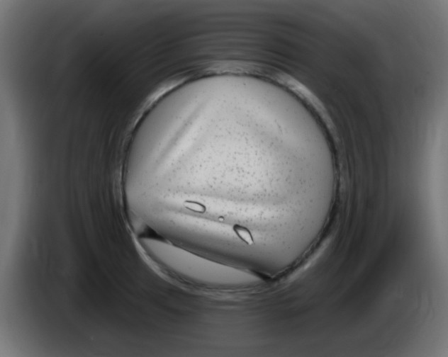 X0000083051041200703022106