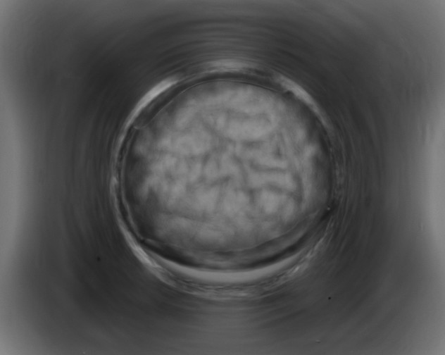 X0000083051042200703022106