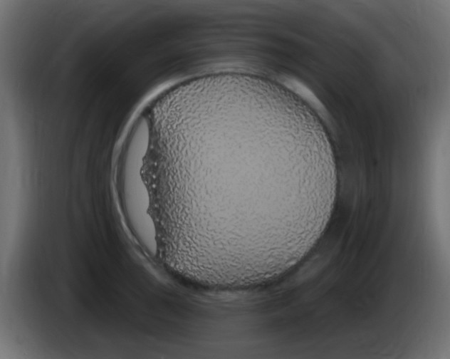 X0000083051043200703022106