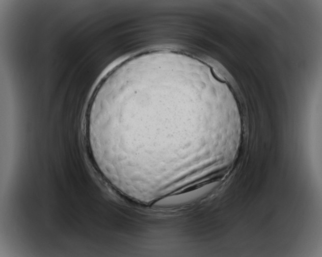 X0000083051044200703022106