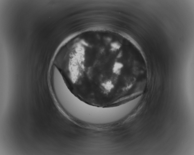 X0000083051045200703022106