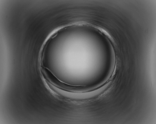 X0000083051046200703022106