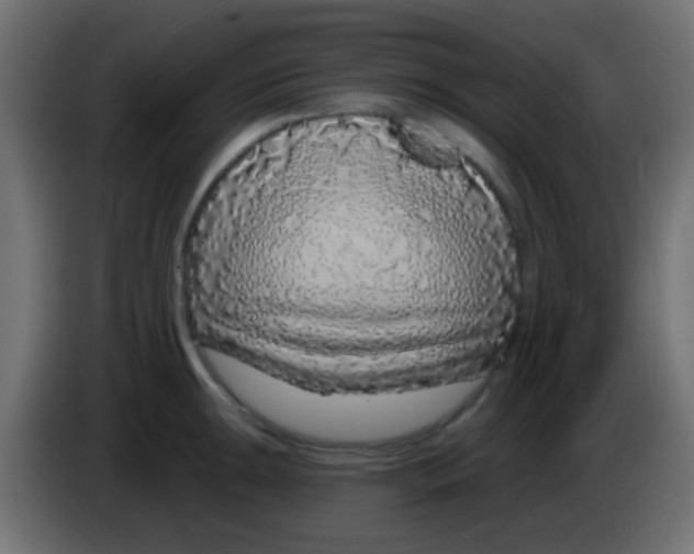 X0000083051047200703022106