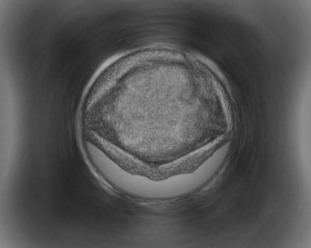 X0000083051048200703022106