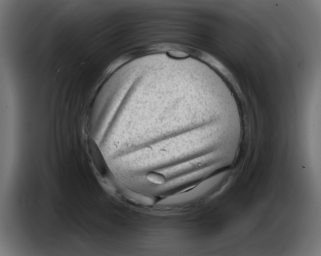 X0000083051049200703022106